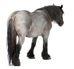 英皇体育官方网址入口